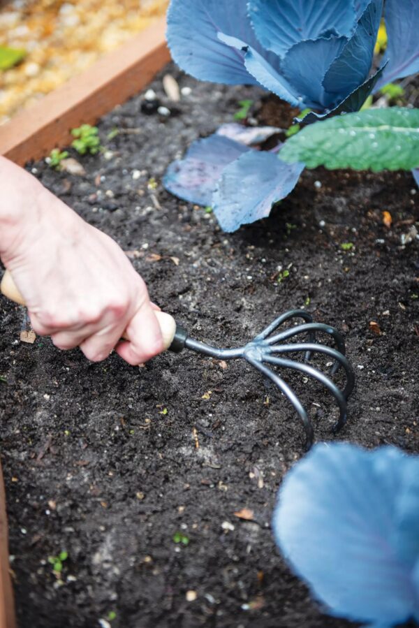 5-Tine Hand Cultivator (Short Handle) – Heavy-Duty Garden Tool - Image 2
